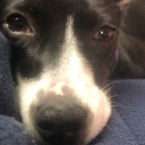 Meet your Posher, Chloe